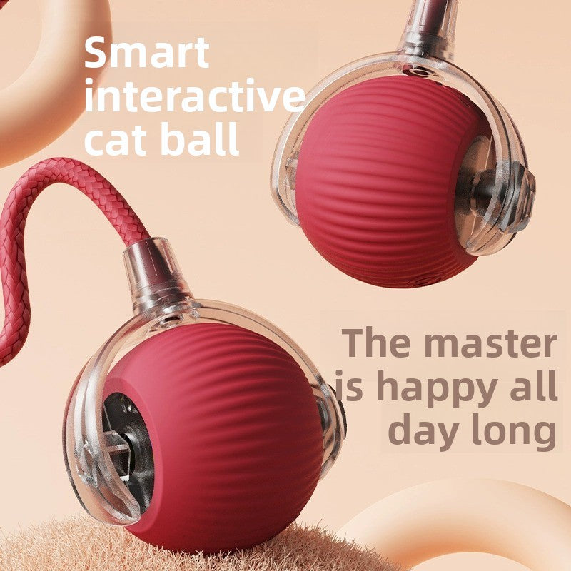 Smart Rolling Cat Toy