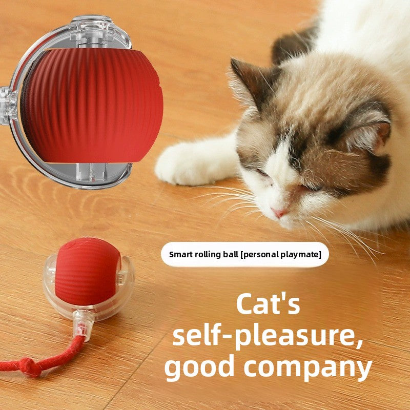 Smart Rolling Cat Toy