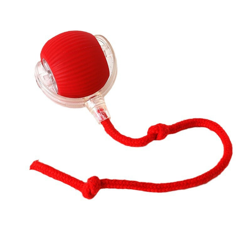 Smart Rolling Cat Toy