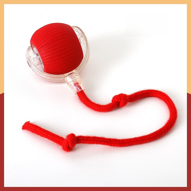 Smart Rolling Cat Toy