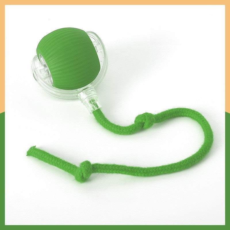 Smart Rolling Cat Toy