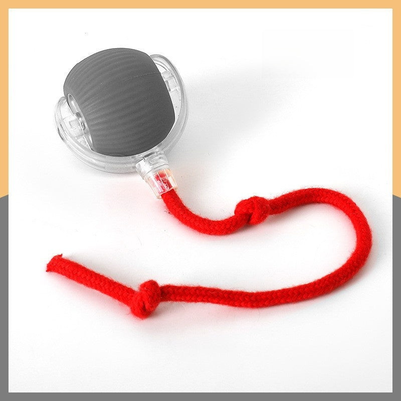 Smart Rolling Cat Toy