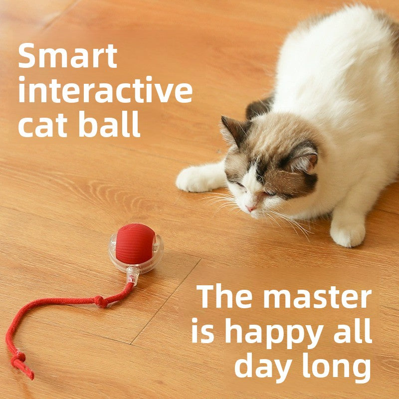 Smart Rolling Cat Toy